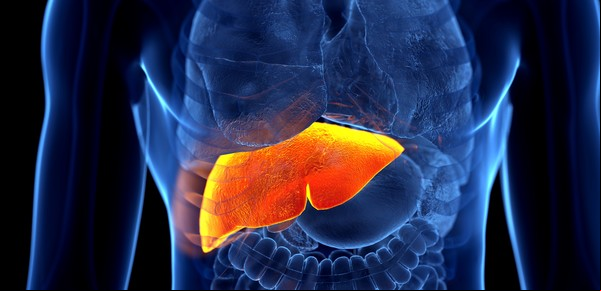 Hepatitis A, B y C: en qué se diferencian, cómo se contagian, se detectan y previenen