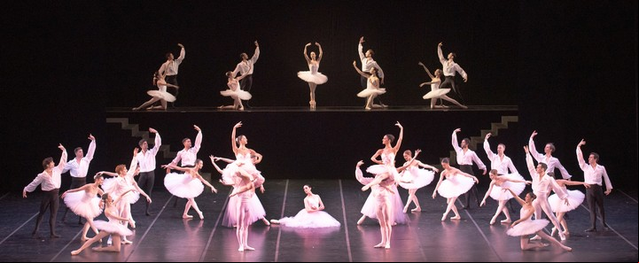 El siempre exigente Ballet Estable del Teatro Colón. Foto: Prensa/ Arnaldo Colombaroli