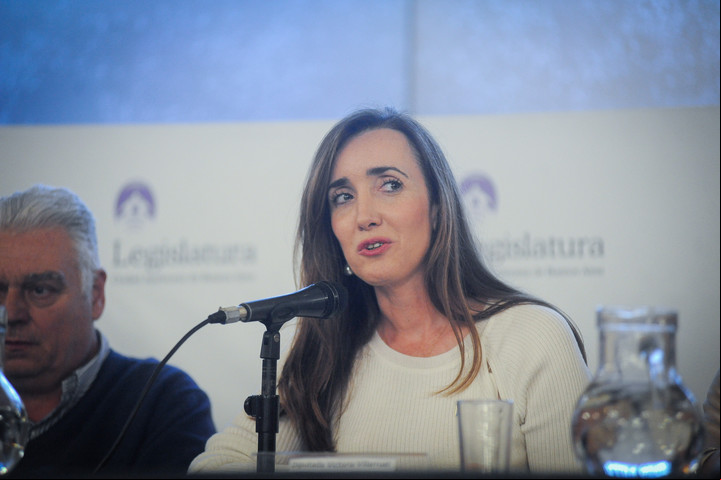 Victoria Villarruel en un acto que causó polémica en la Legislatura. Foto Federico López Claro