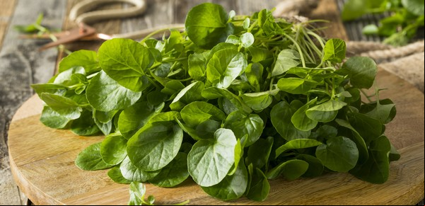 Cuál es la verdura más sana del mundo y cómo consumirla: el veredicto de nutricionistas
