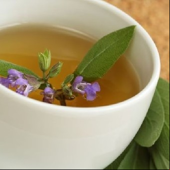 Qué pasa en el cuerpo al tomar té de salvia todos los días: cómo prepararlo 