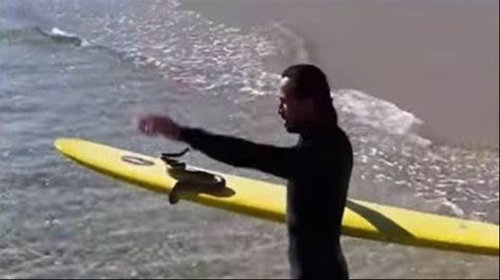 Sacar a estos animales de sus lugares habituales puede causarles estrés (Captura de video).