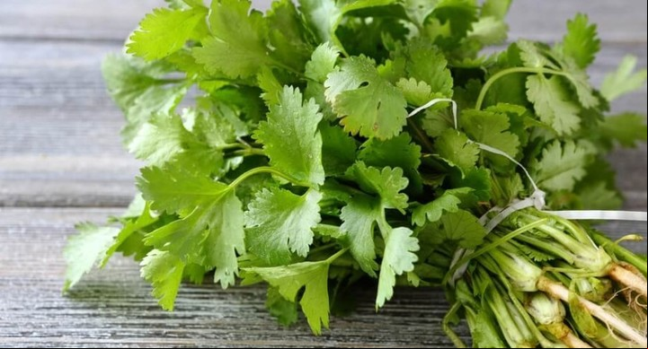 El cilantro es una planta aromática muy utilizada en la cocina y con beneficios para la salud.