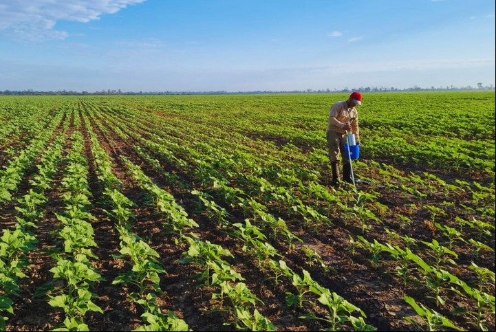 Se observa una gran preponderancia de leguminosas en estas regiones, cultivos que realizan poco aporte de carbono al suelo, dijoHernán Sainz Rozas de INTA