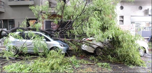 Autos aplastados por el temporal: qué daños cubren los seguros y cómo hacer el reclamo