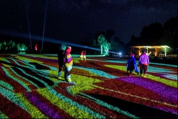 Entre la naturaleza y lo virtual, un festival de arte que se las trae