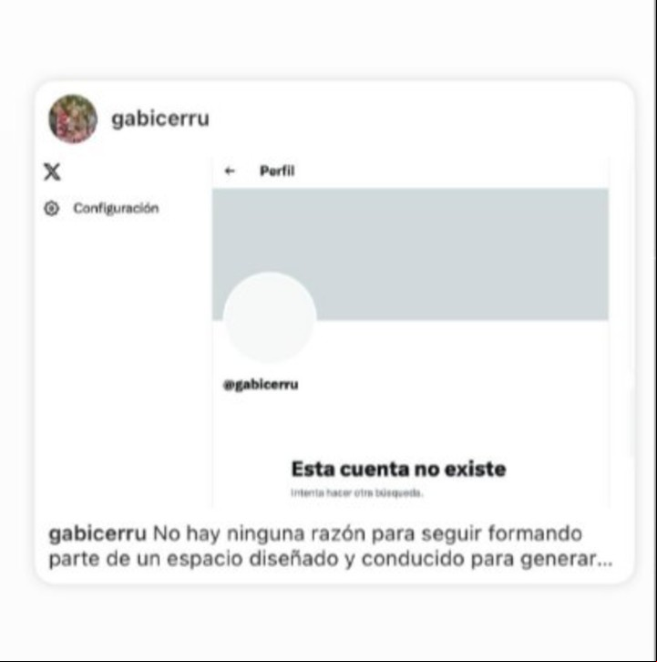 Gabriela Cerruti decidió cerrar su cuenta de X por diferencias con Elon Musk.