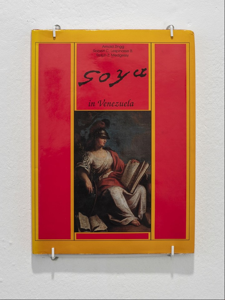 Portada de "Goya soy yo", de Iván Candeo.