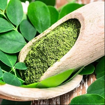 Cuántas veces al día tomar semillas de moringa: para qué sirve y contraindicaciones