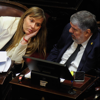 Senado: negocian el kirchnerismo y Martín Lousteau para voltear la Ley Bases