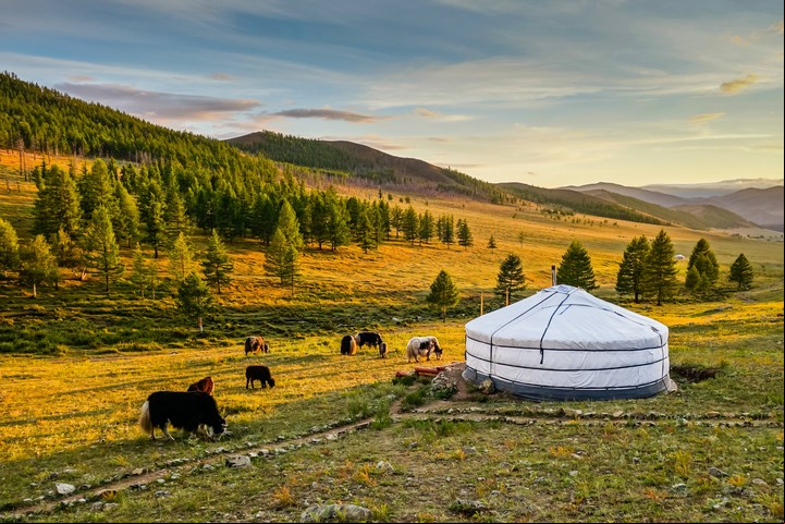 Mongolia busca atraer más turistas. Foto Shutterstock