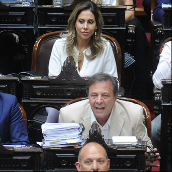 Catarsis libertaria en el Congreso tras la caída de la Ley Ómnibus
