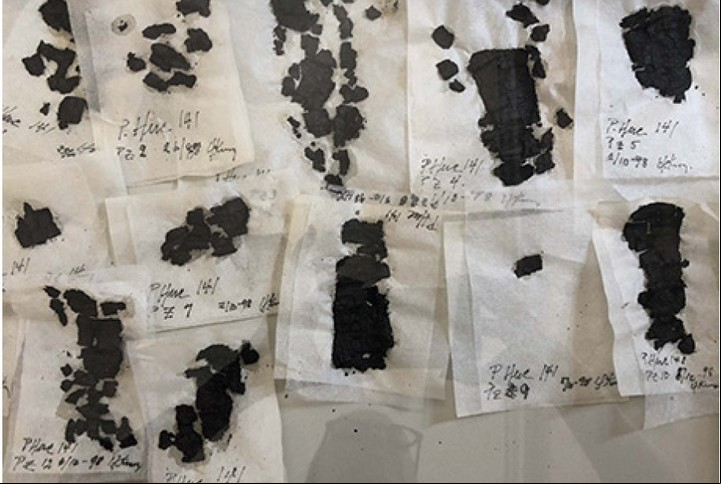 Parte de los papiros carbonizados (Vesubio Challenge).