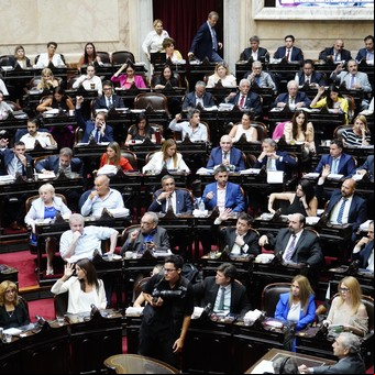 El Gobierno tiene los votos para aprobar la Ley Bases en Diputados, pero se abre un interrogante en el Senado