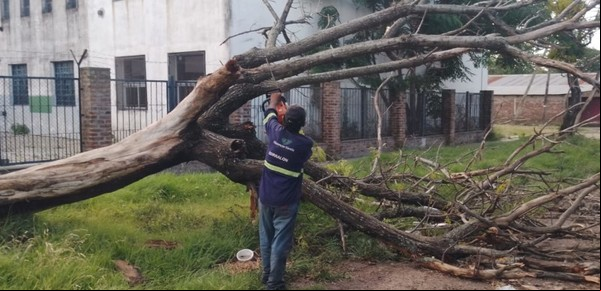 Municipales reclaman porque les pagan menos de $ 100.000 de salario