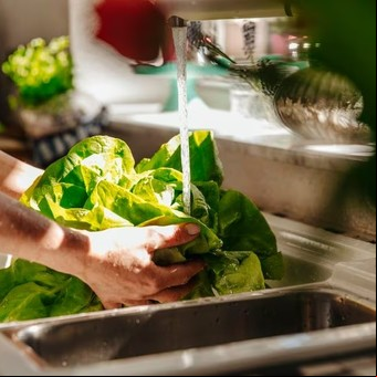 Cuáles son los beneficios de la lechuga si se consume a diario