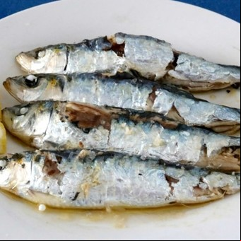 Cuál es el pescado que tiene más proteína: no es salmón ni atún