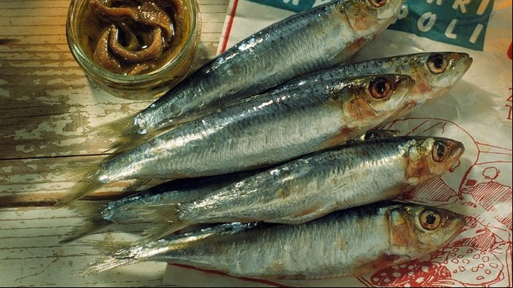 Anchoa o boquerón, el más rico en proteína.
