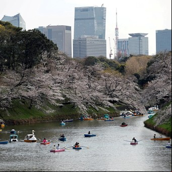 ¿Cuáles son las costumbres de la cultura japonesa?
