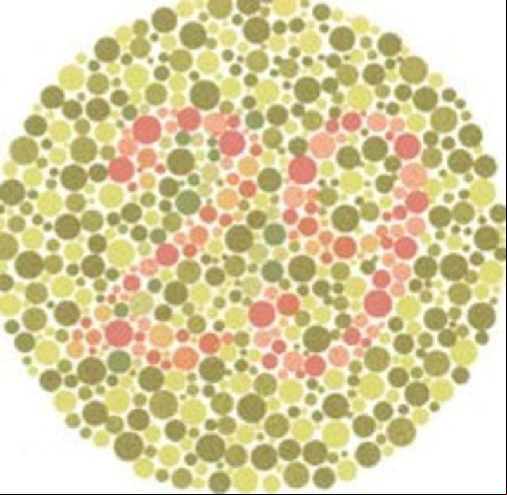 Test de Ishihara: las personas con visión de color normal ven un 29. Los que padecen ceguera al color rojo y verde ven un 70.