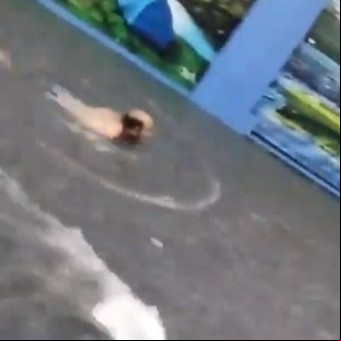 En medio de la tormenta, un hombre nadó sobre la calle y otros dos salieron a andar en kayak