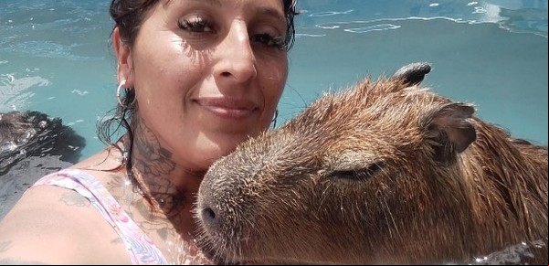El camino de Pepe, el carpincho mascota que vive en José C. Paz