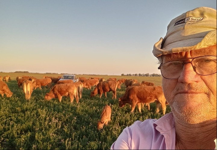 Juan José Neiman cría ganado de pedigree y puro controlado en La Pausa, su cabaña Limousin, en Speluzzi, La Pampa.
