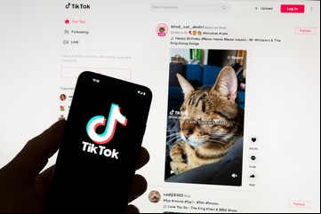 TikTok lanza una nueva versión que les pagará a los s por ver videos