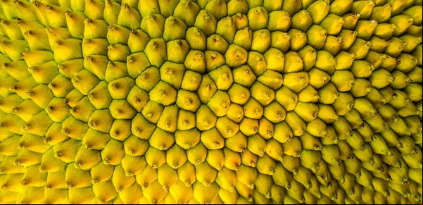 Cuál es la fruta más difícil de cortar