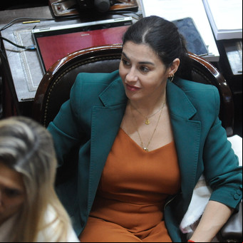 Marcela Pagano reapareció tras el escándalo con la comisión de Juicio Político y en el cierre de la sesión votó la Ley Bases: "A la gilada (y a las pavas) ni cabida"