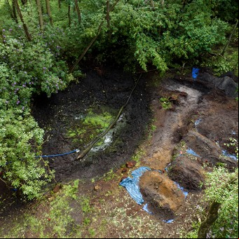 Arqueólogos británicos ayudan a buscar a un piloto estadounidense desaparecido en la II Guerra Mundial