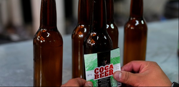 "Coca beer": nace en Bolivia una cerveza con una planta milenaria y el estigma de ser la base de la cocaína