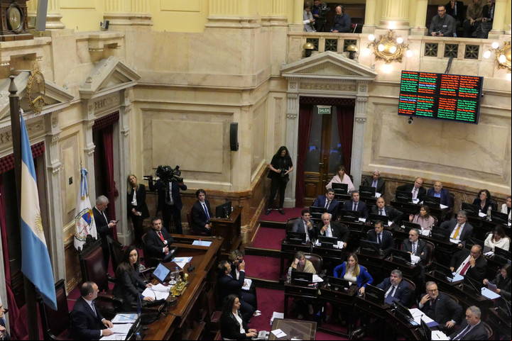 El Senado, durante la aprobación de la Ley Bases.
