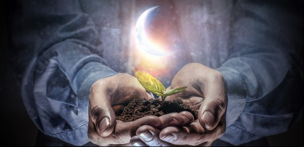 Luna nueva en Piscis del 27 de febrero 2025: rituales para atraer riqueza, amor y buena energía