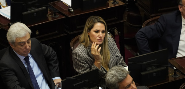 Caso Loan: el Senado dio media sanción a la modificación del Código Penal por la trata de menores