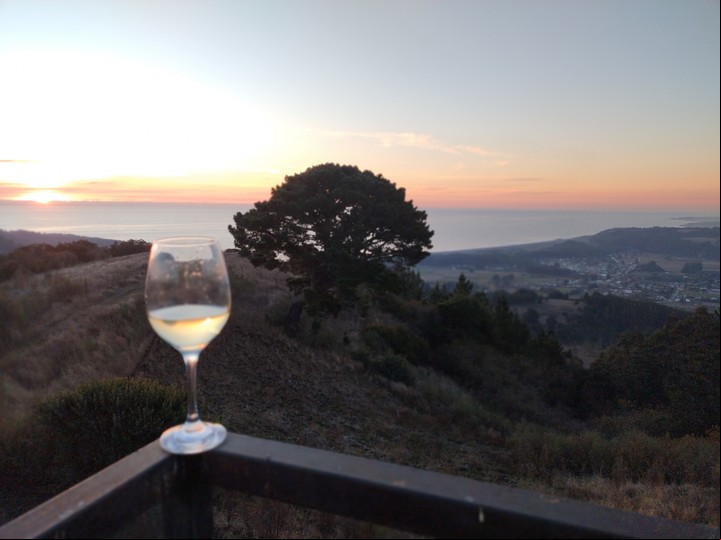 Un vino local con vista al mar en Viña Los Maquis, Buchupureo.