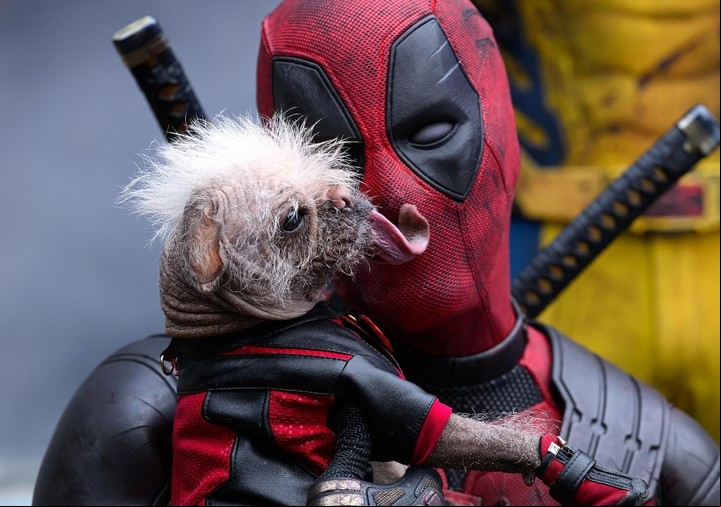 Dogpool, el perro más feo del mundo, hace su aparición en la película.