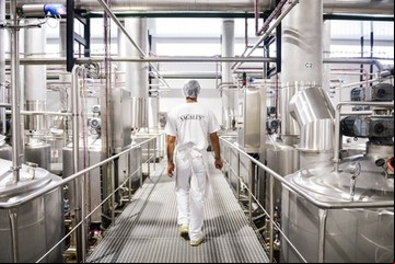 La historia de Vacalin, que ya lleva tres generaciones remando en dulce de leche