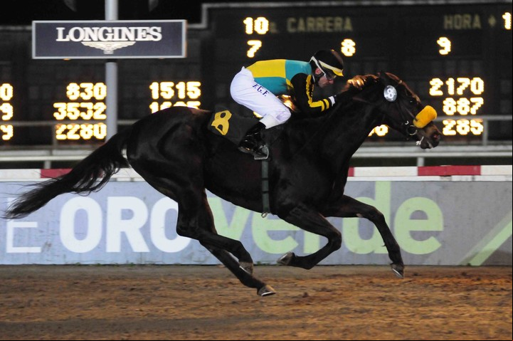 Hipódromo. En general los jockeys (jinetes) son personas que pesan entre 48 y 50 kg y miden alrededor de 1,5 m. Foto: Hipódromo Argentino de Palermo.