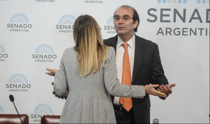 La camporista Anabel Fernández Sagasti con Manuel García Mansilla, durante la audiencia pública en el Senado. Foto: Federico López Claro.