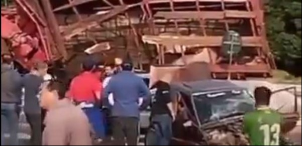 Trágico choque en Paraguay: seis muertos y seis heridos luego de que un camión con ganado arrollara varios vehículos
