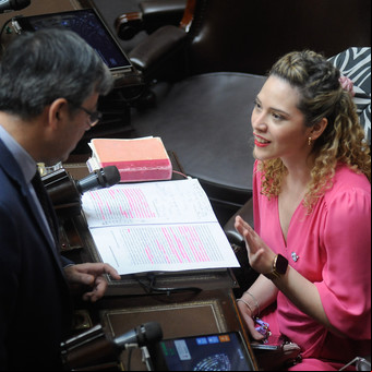 Javier Milei y sus medidas, EN VIVO: "De los cinco héroes del radicalismo, se bajarían tres", dijo una ex aliada del Gobierno que votaría contra el veto al financiamiento universitario