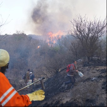 Incendios en Córdoba: le piden más recursos a Daniel Scioli y penas más duras a los responsables