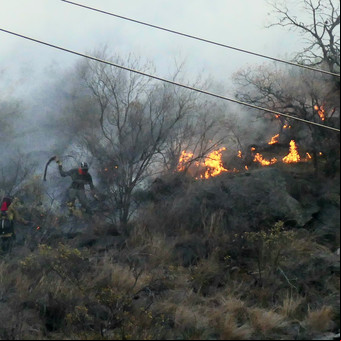 Habla el máximo responsable de la lucha contra el fuego en el país: "La situación es compleja y el peligro de incendios va a continuar"