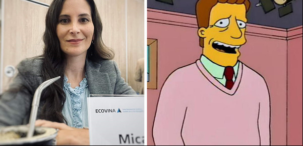 "Hola, soy Troy McClure": la insólita cita de una diputada a un personaje de los Simpsons para rechazar la privatización de Aerolíneas Argentinas
