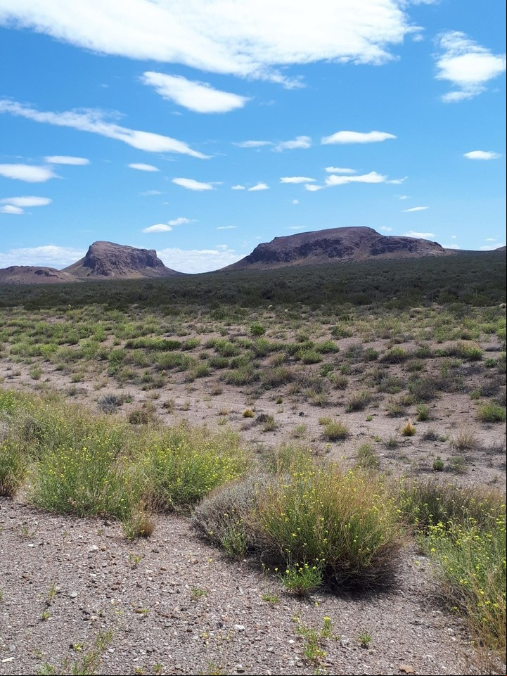 Paisaje típico de la Meseta de Somuncurá, a un costado de la ruta 23, en Río Negro.