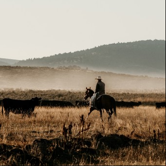 Larga vida al western (también al criollo)