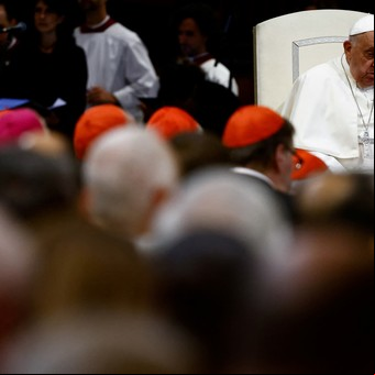El papa Francisco pide a los cardenales hacer sacrificios y les recorta el sueldo