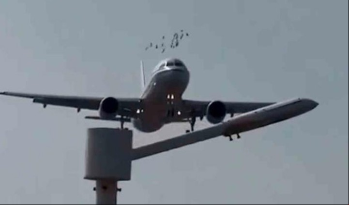 Una bandada se acercó repentinamente por un costado, chocando con la aeronave a gran velocidad y dispersándose en todas direcciones. .
