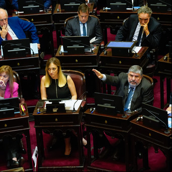 Echaron a Edgardo Kueider del Senado: uno por uno, cómo votó cada senador